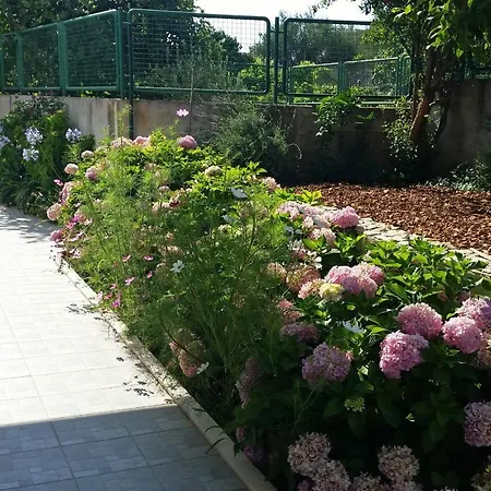 Apartamento By The Sea Arbanija, Ciovo - 11321